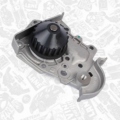 Water Pump & Timing Belt Kit
