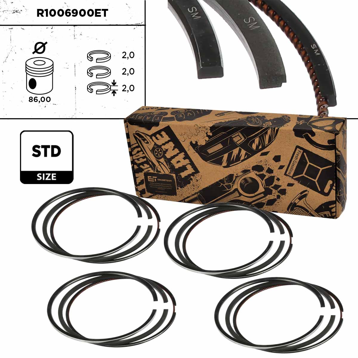 Piston Ring Kit (R1006900ET)