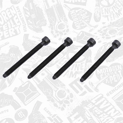 Adjustment Screw, injector pump (BS0008)