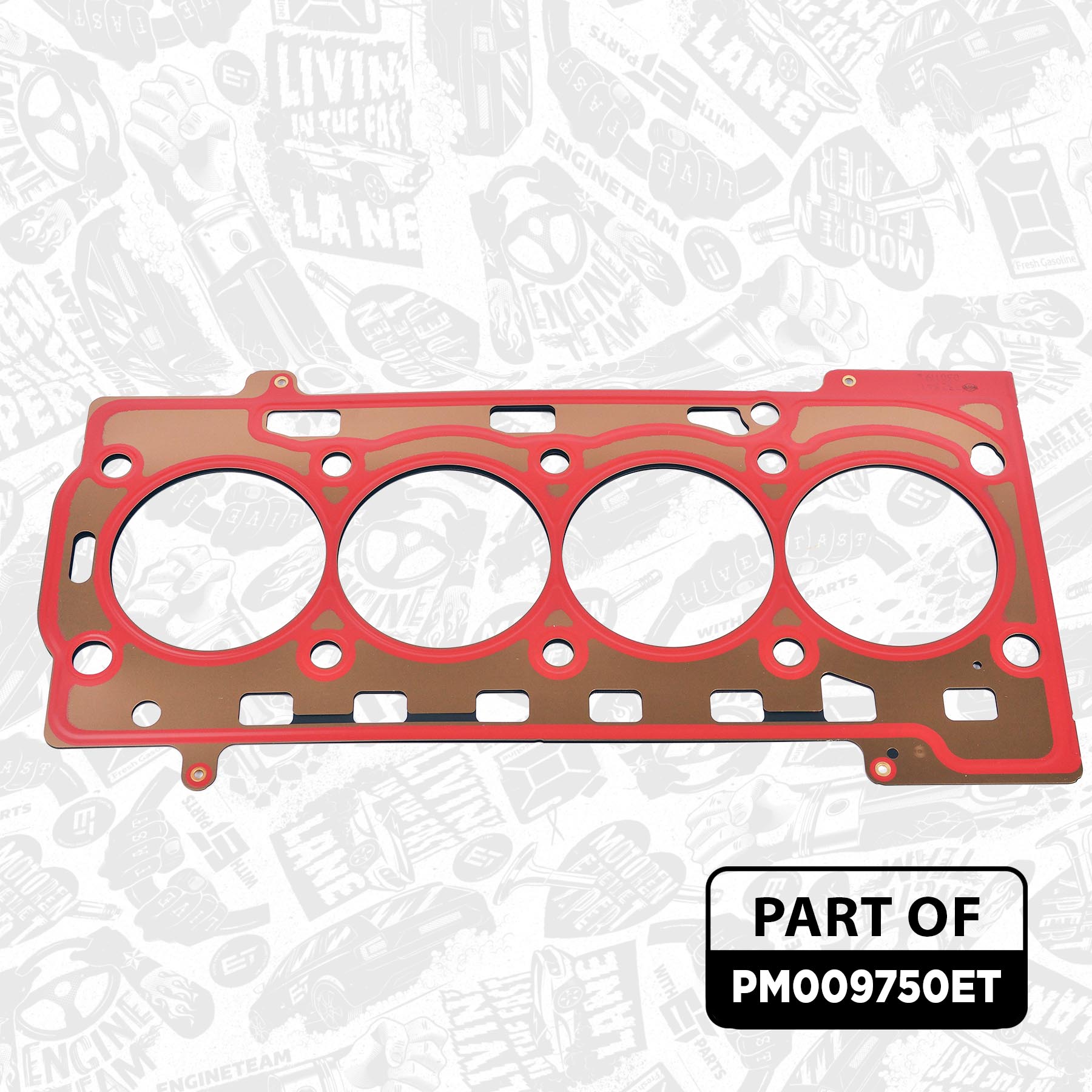 Piston Set