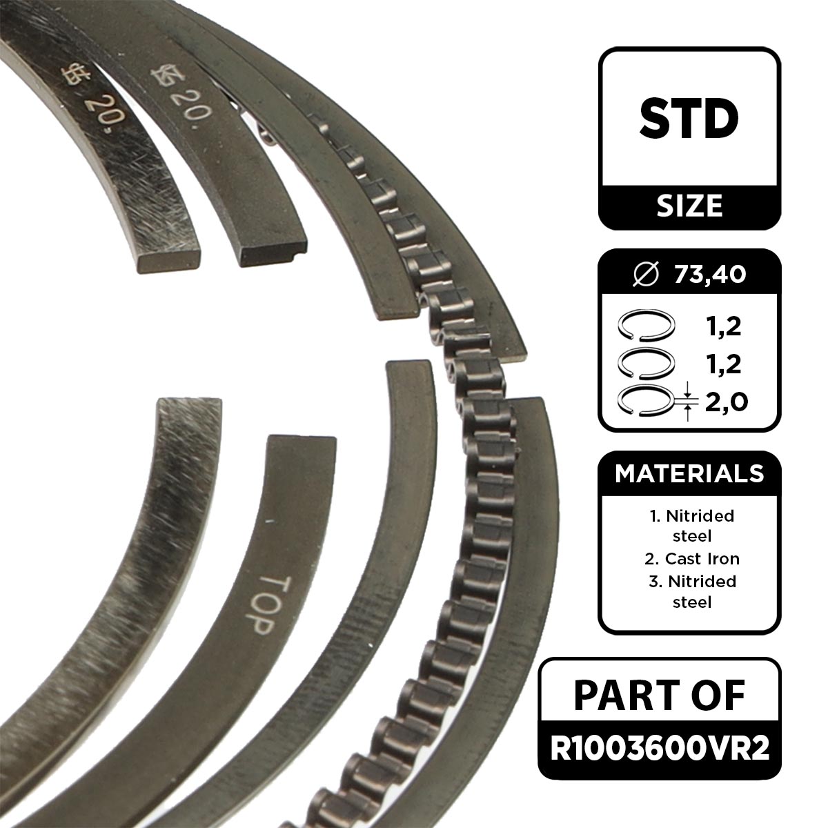 Piston Ring Kit
