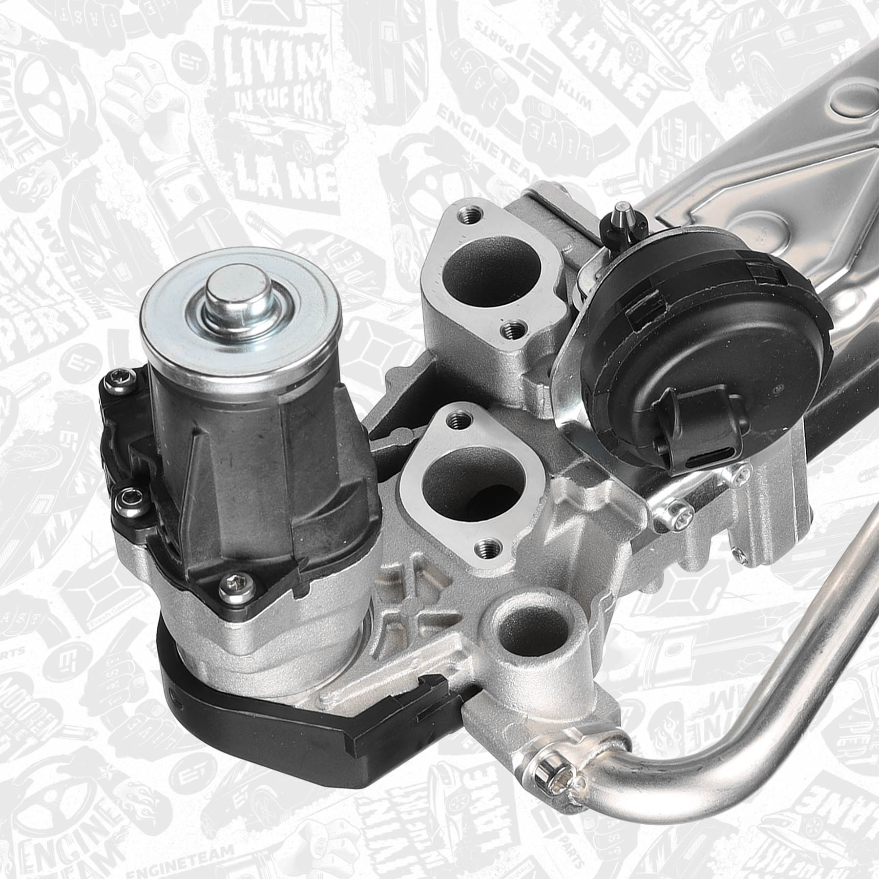 EGR Valve