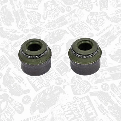 Timing Chain Kit