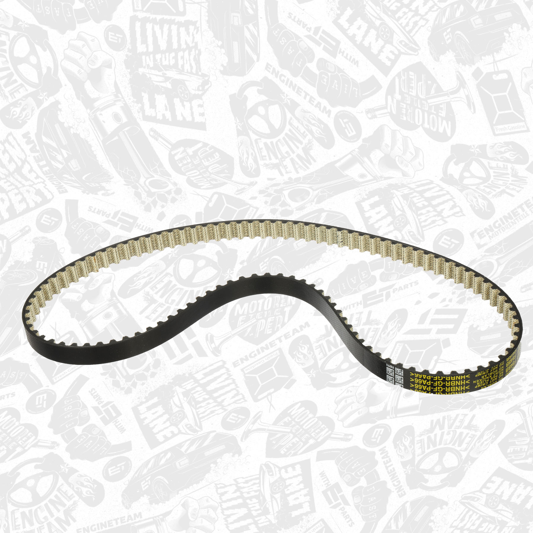 Timing Belt Kit