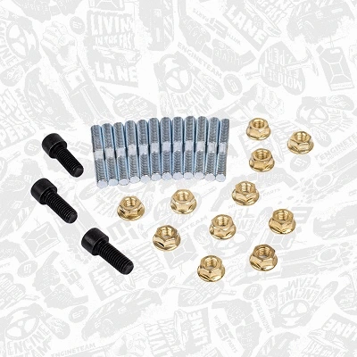 Manifold, exhaust system