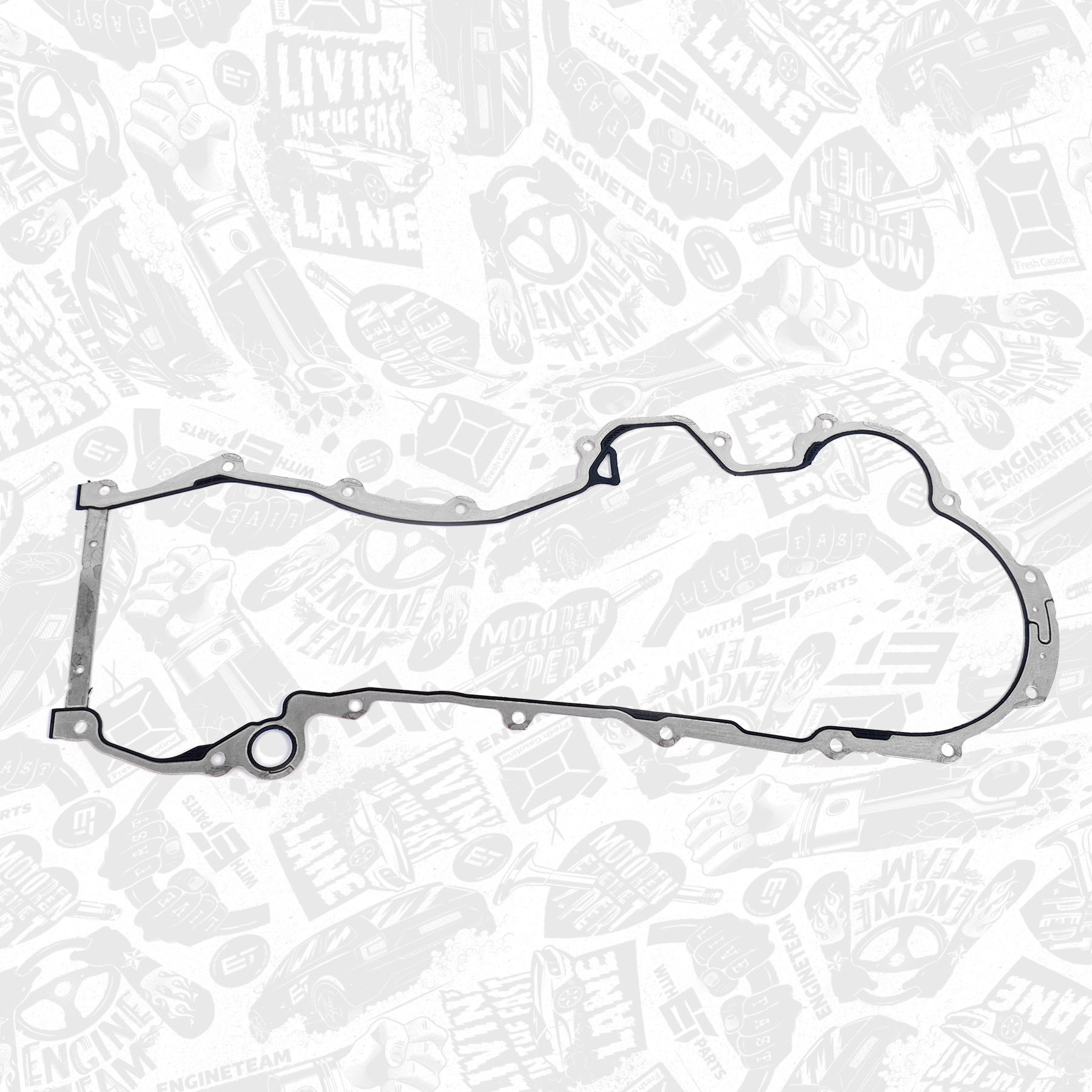 Timing Chain Kit