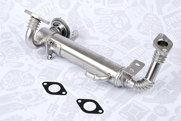 EGR Module