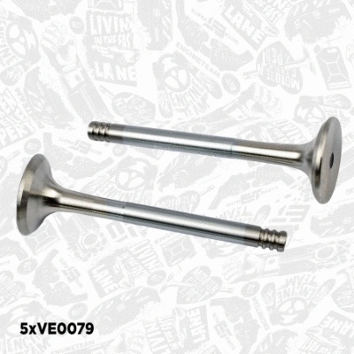 Valve Kit, intake/exhaust valve