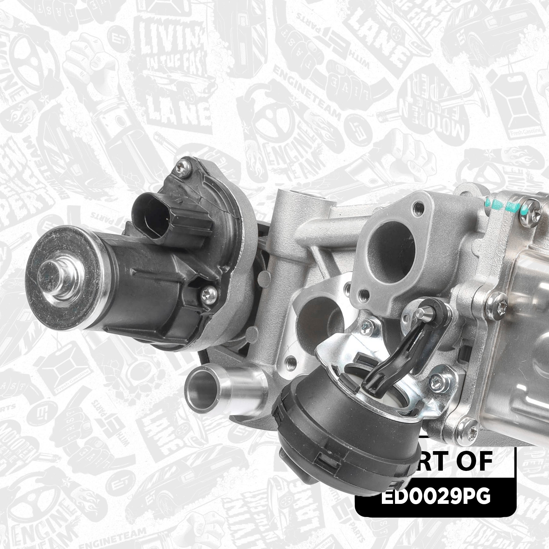 EGR Valve