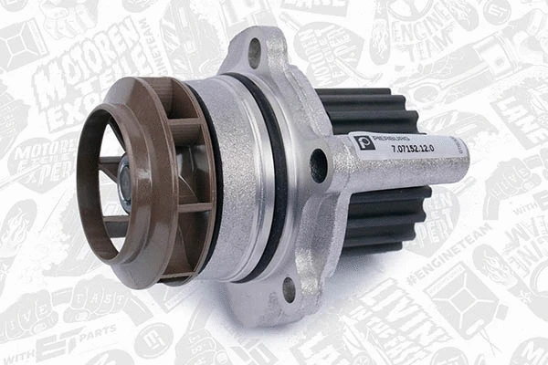 Water Pump & Timing Belt Kit