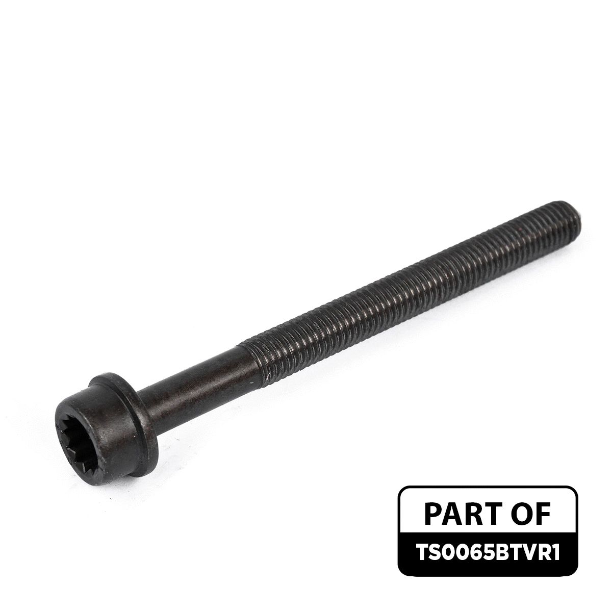 Gasket Kit, cylinder head (TS0065BTVR1)