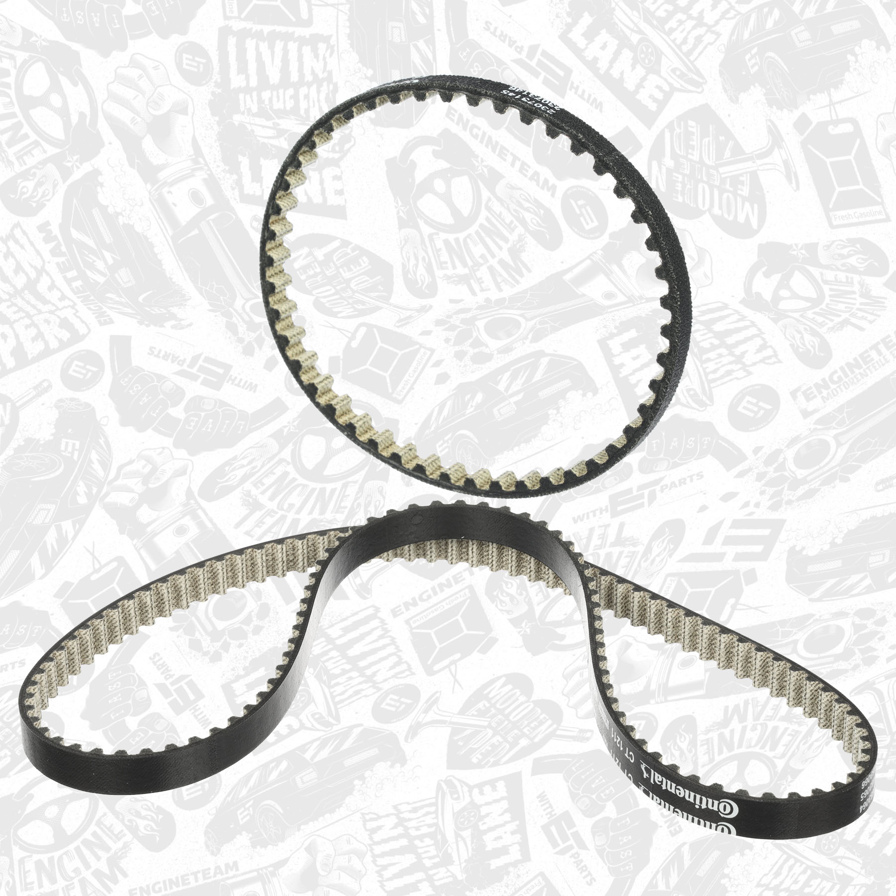 Timing Belt Kit