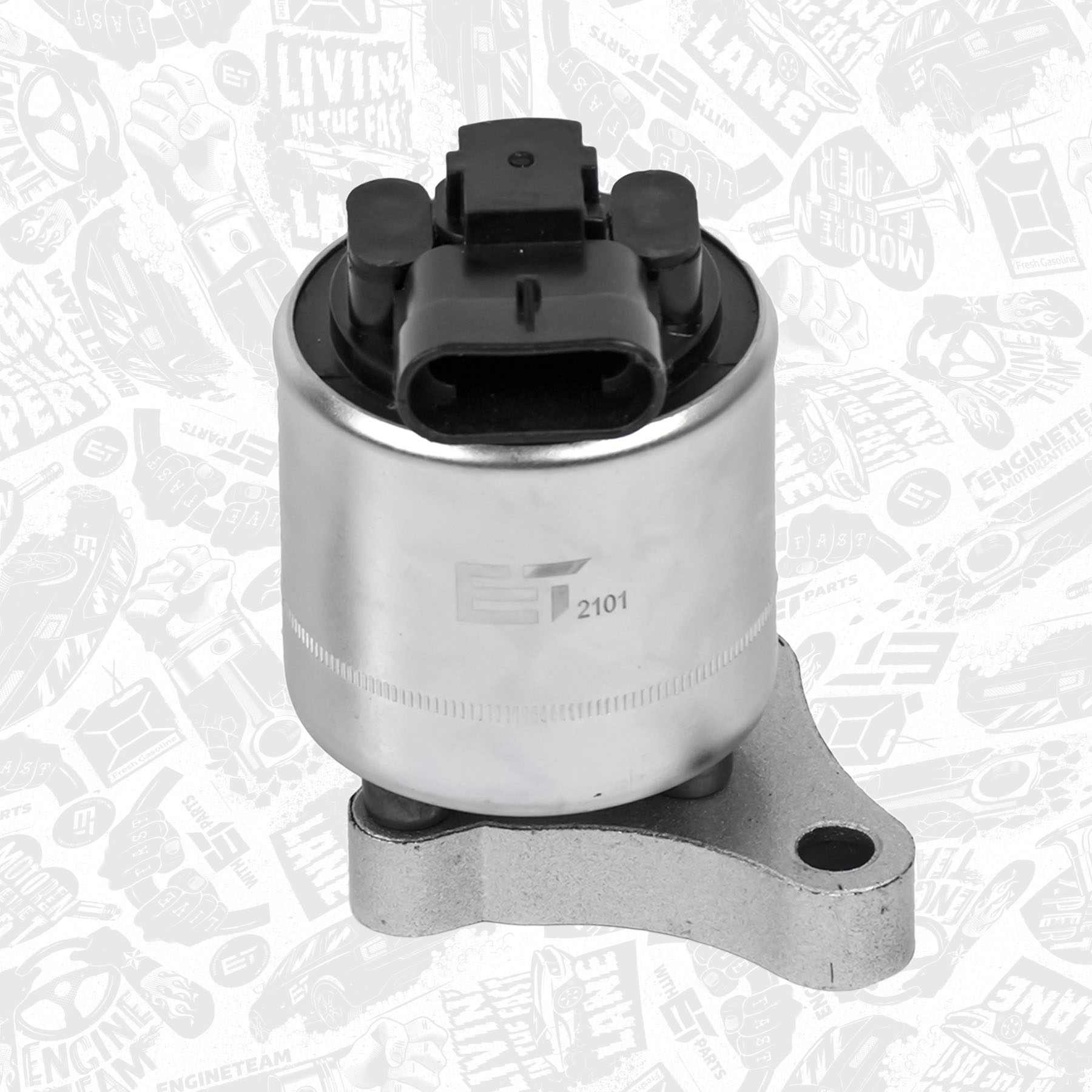 EGR Valve