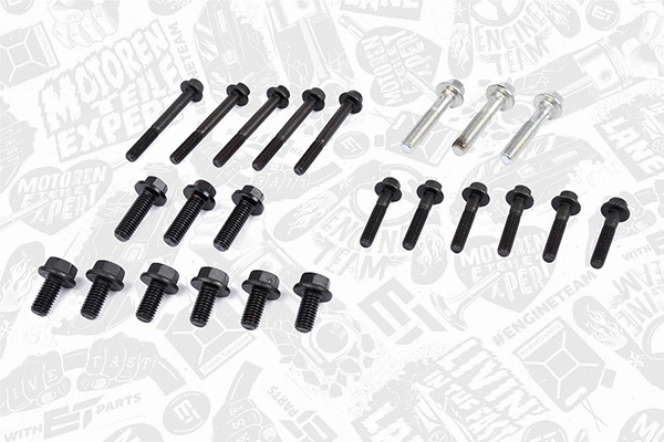 Timing Chain Kit