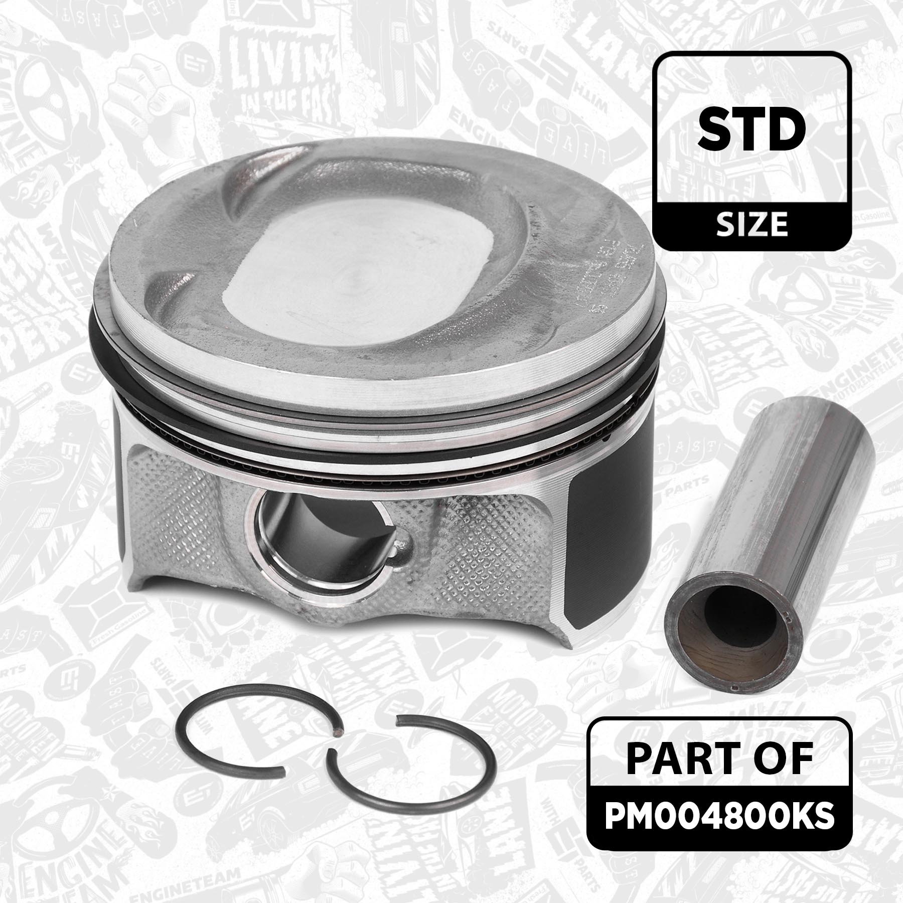 Piston Set