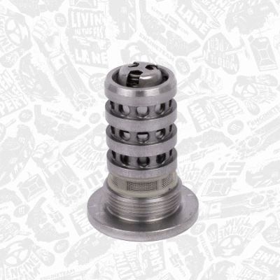 Central Valve, camshaft adjustment