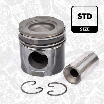 Piston (PM004000)