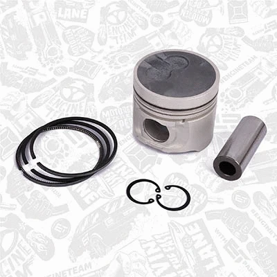 Piston (PM010100)