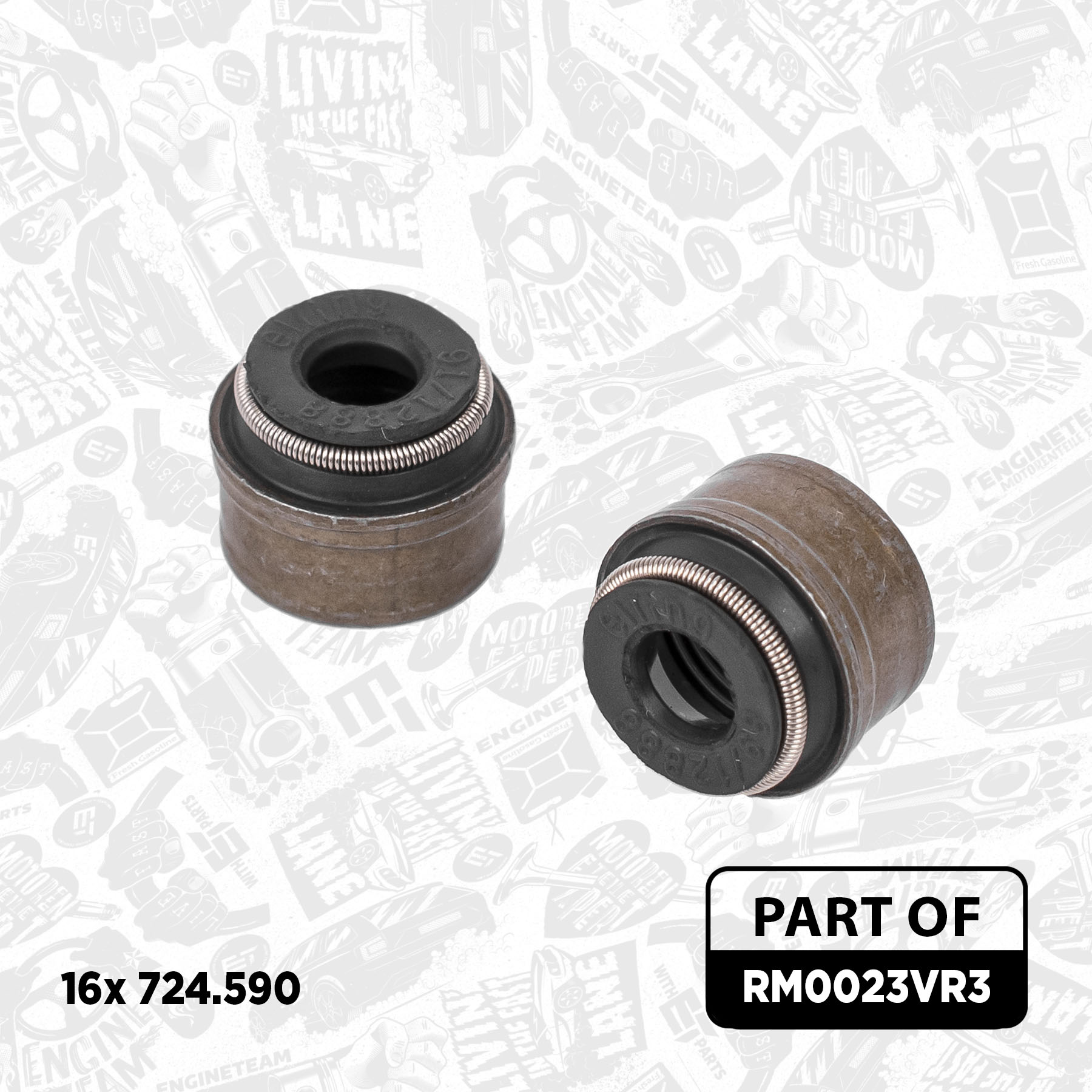 Water Pump & Timing Belt Kit (RM0023VR3)