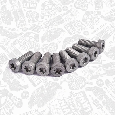 Repair Set, vacuum pump (braking system)