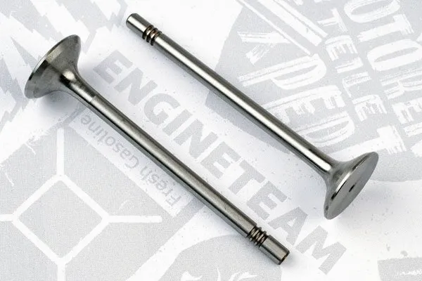Intake Valve