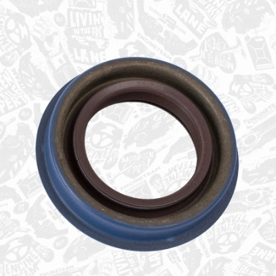 Shaft Seal, differential