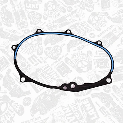 Gasket, timing case (TM0021)