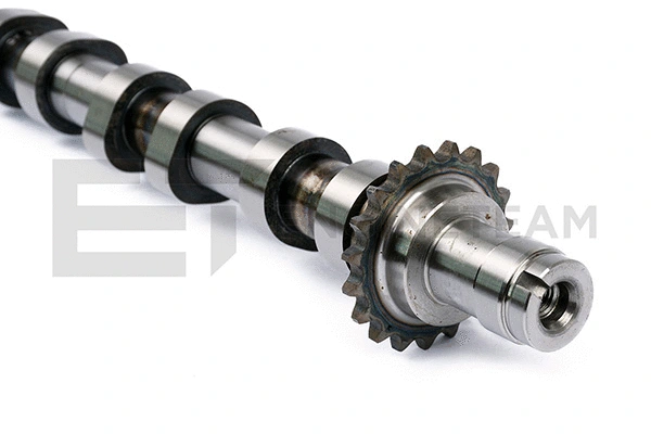 Camshaft