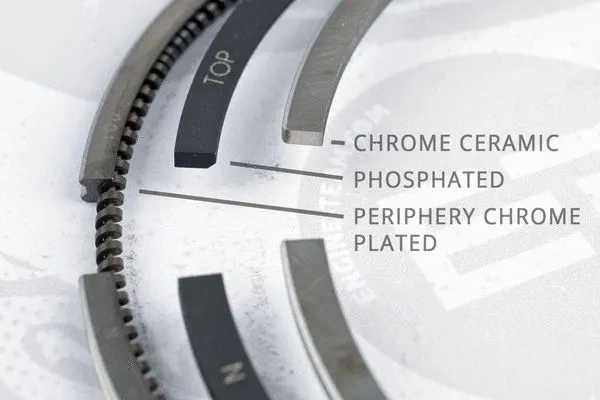 Piston Ring Kit (R1005600)