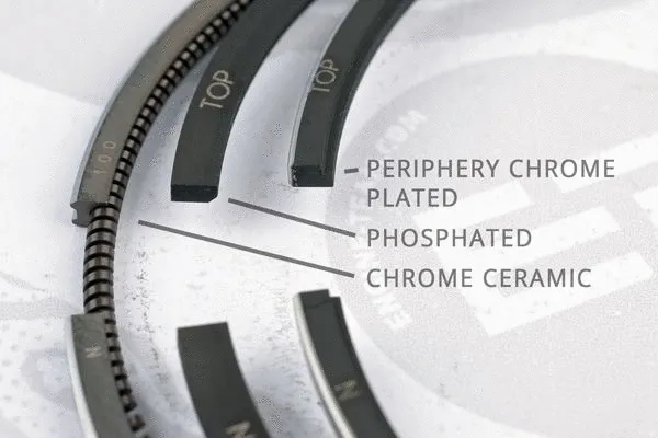 Piston Ring Kit (R1004900)