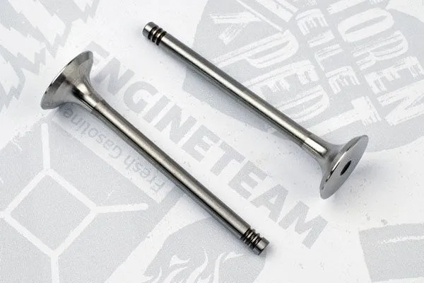 Exhaust Valve