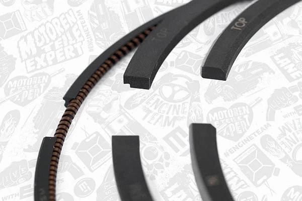 Piston Ring Kit (R1006900)