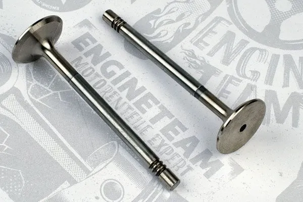 Intake Valve