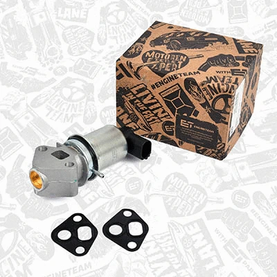 EGR Valve