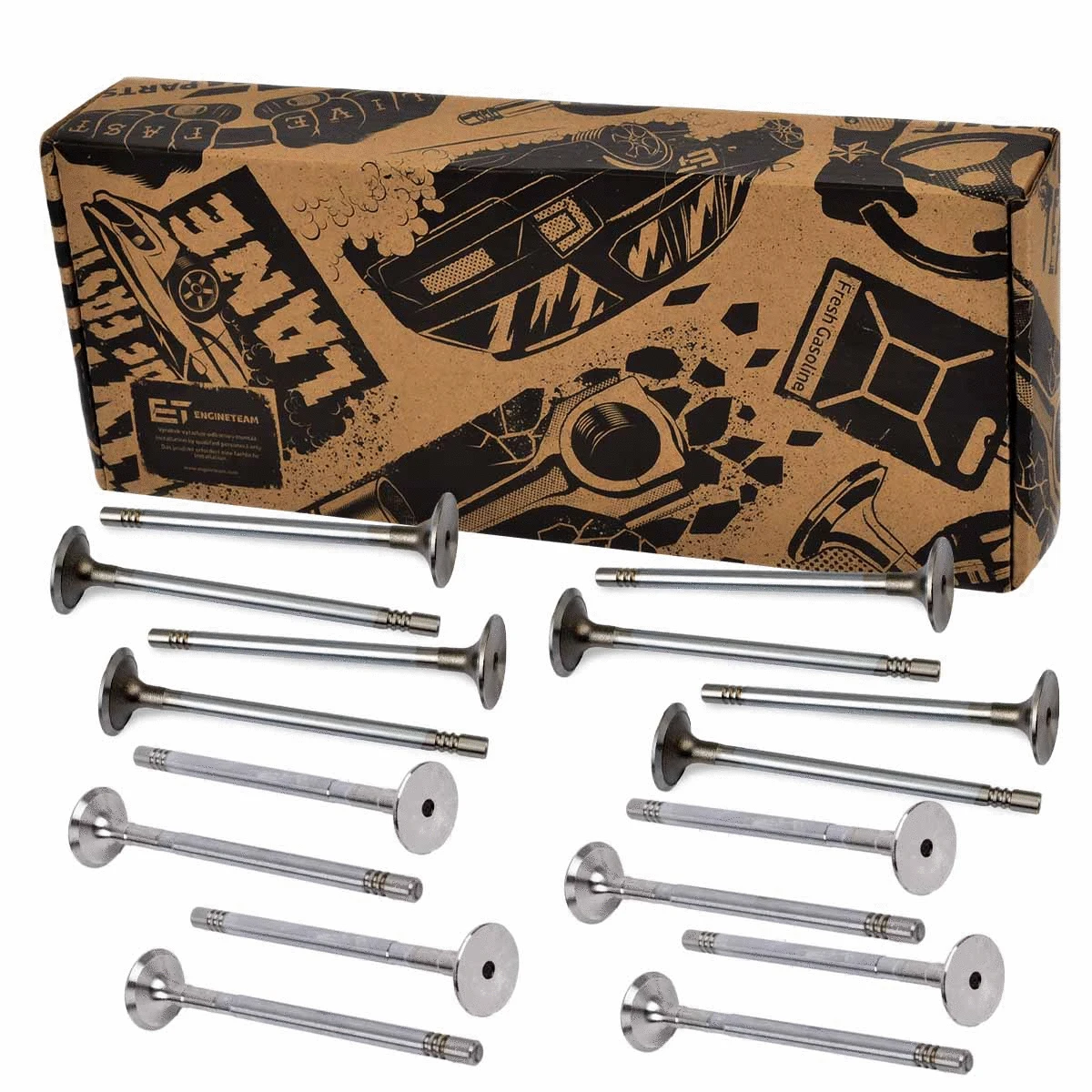 Valve Kit, intake/exhaust valve (VS0021)