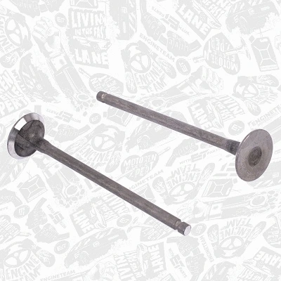 Exhaust Valve