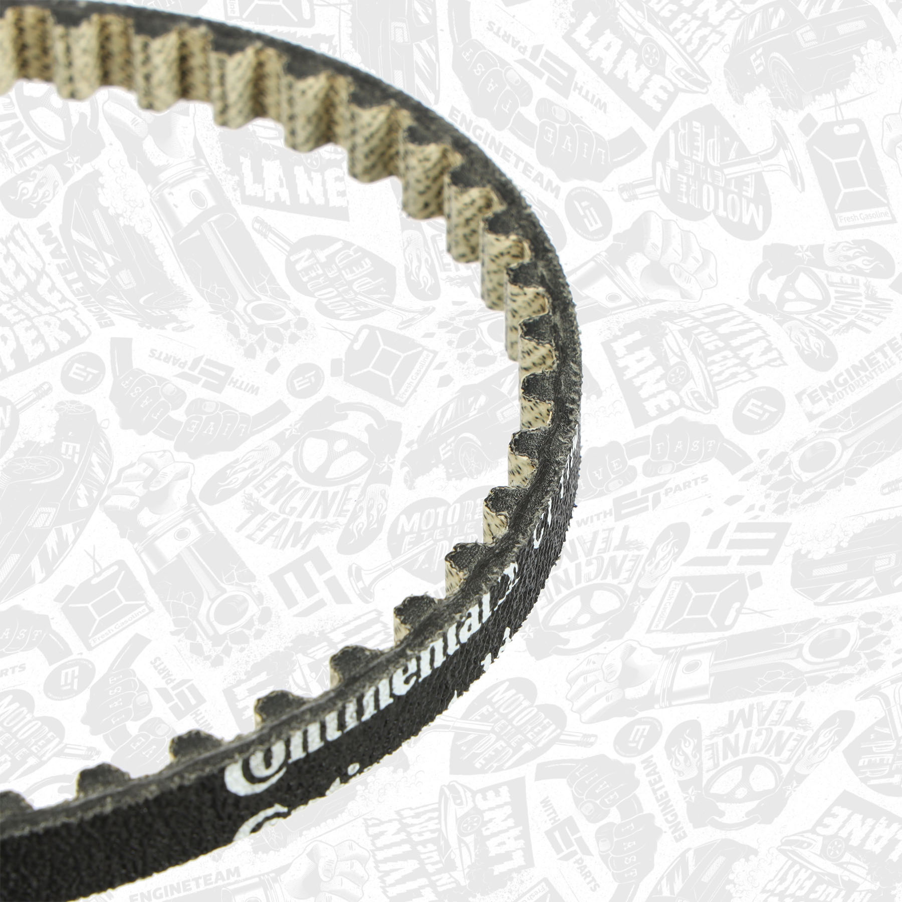 Timing Belt Kit