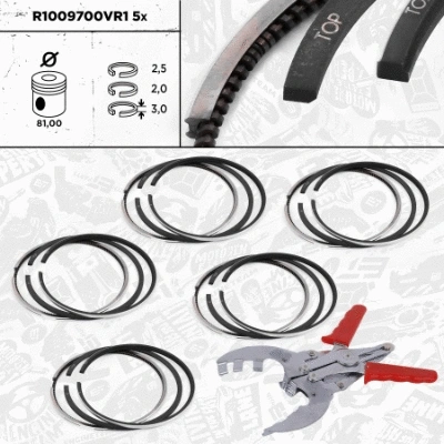 Piston Ring Kit (R1009700VR1)