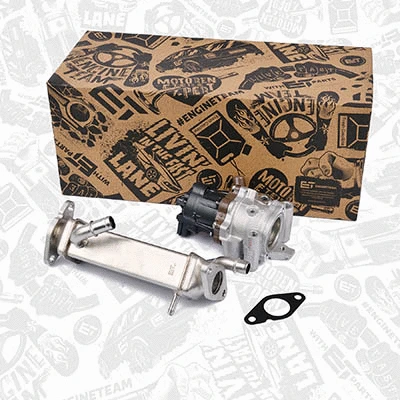 EGR Module