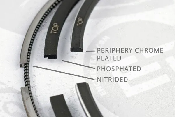 Piston Ring Kit (R1007500)