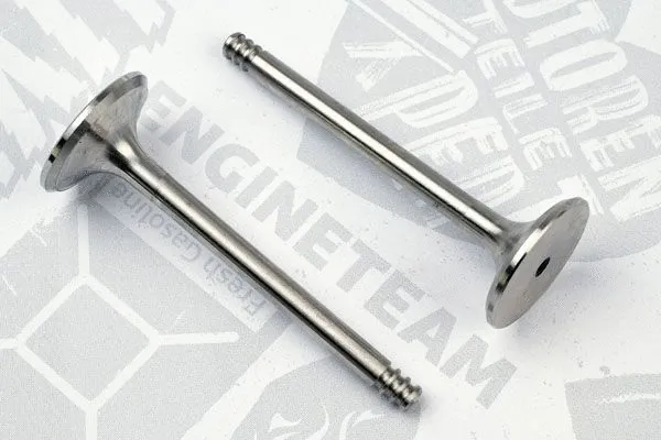 Exhaust Valve