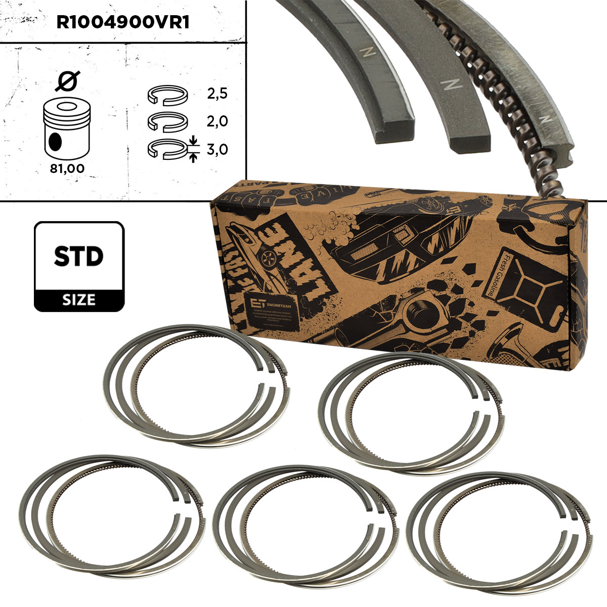 Piston Ring Kit (R1004900VR1)