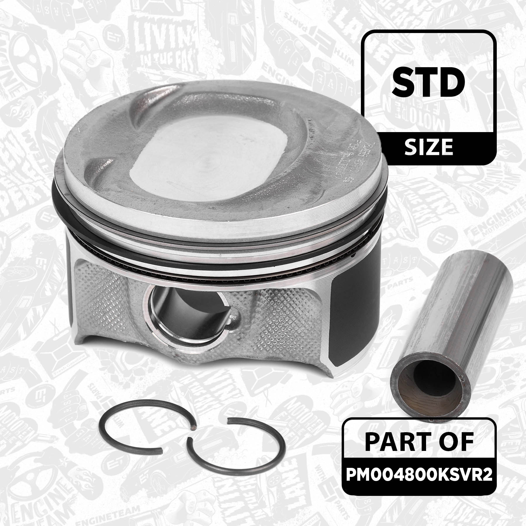 Piston Set