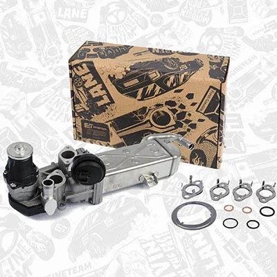 EGR Valve