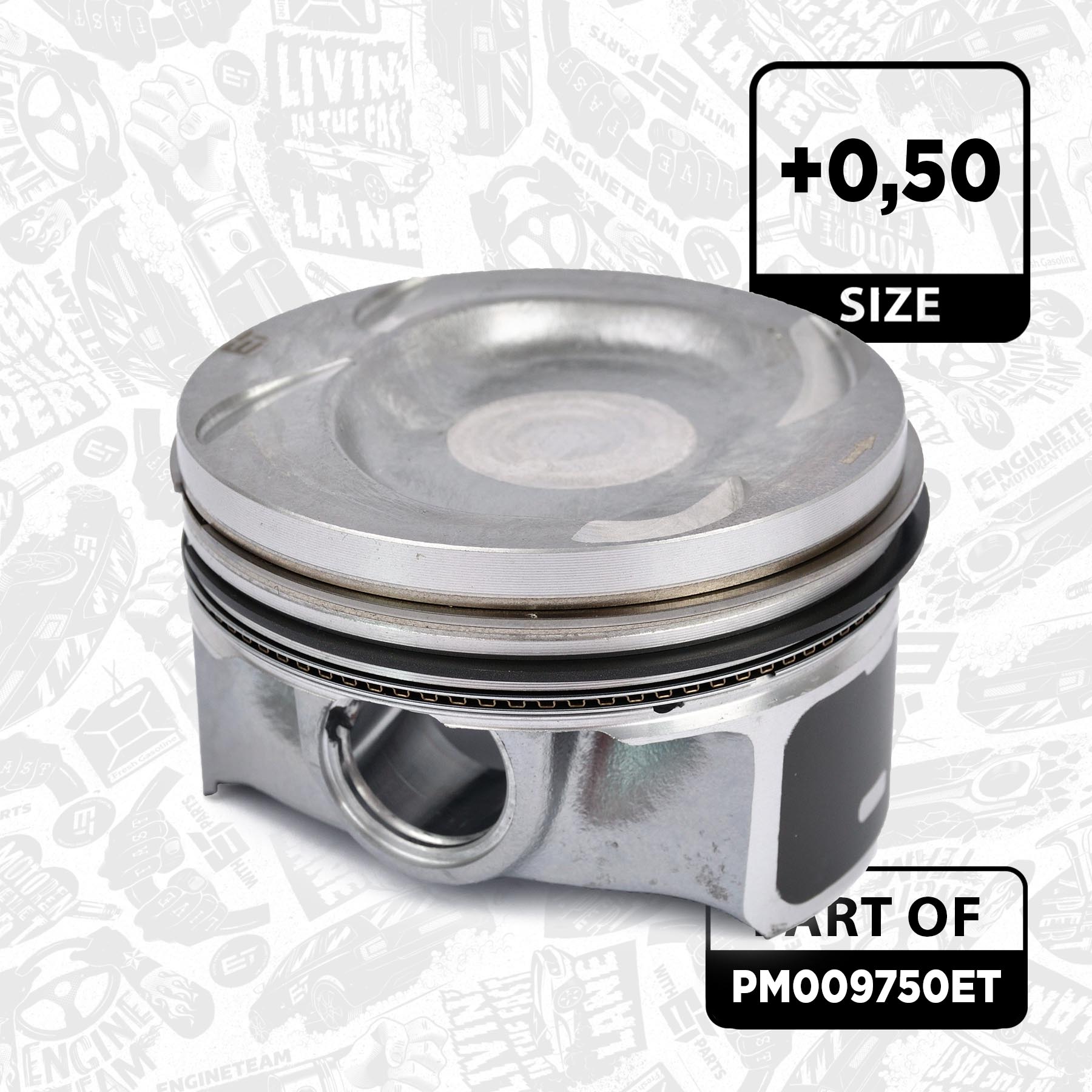 Piston Set