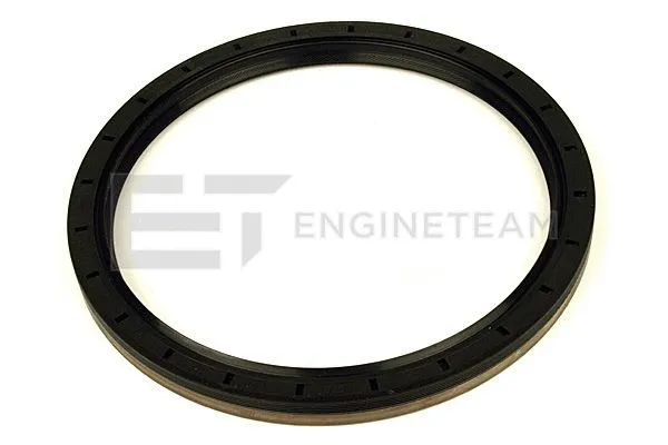 Shaft Seal, crankshaft (TM0001)