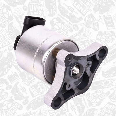 EGR Valve