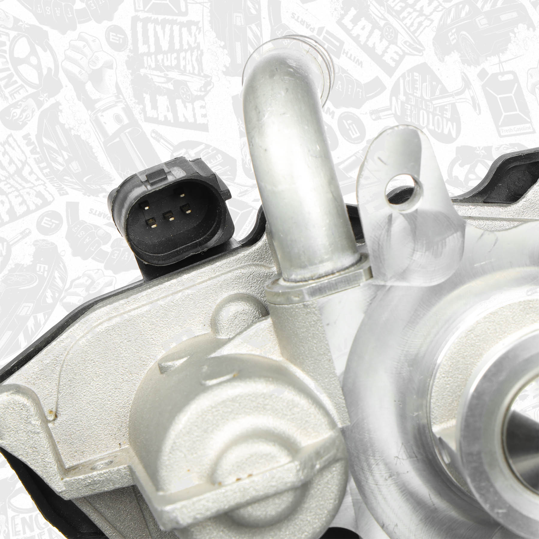 EGR Valve