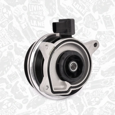 Water Pump + V-Ribbed Belt Kit