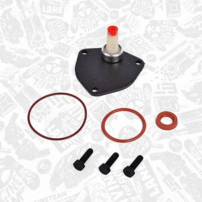 Repair Set, vacuum pump (braking system)